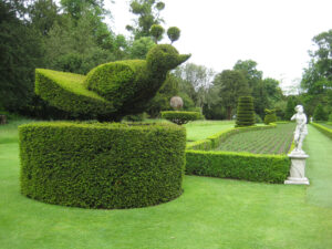 Topiary im Long Garden von Cliveden