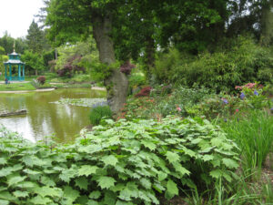 The Water Garden, der Wassergarten von Cliveden