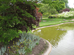 Water Garden in Cliveden