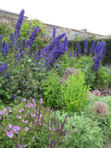 Hot and Cool Garden in Coughton Court