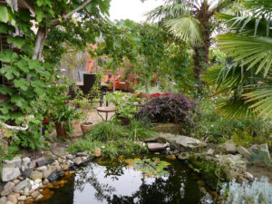 Der kleine Teich an der Terrasse, Garten Aleida Zuch, Moormerland