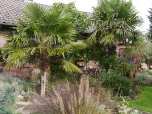 Im Garten Aleida Zuch Moormerland
