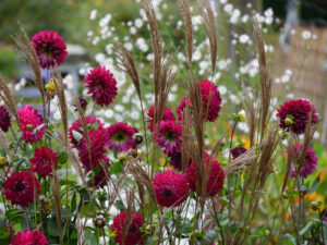 Im Poetischen Garten von LATÜT