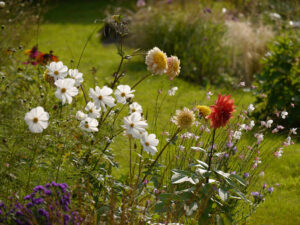 Im Poetischen Garten von LATÜT