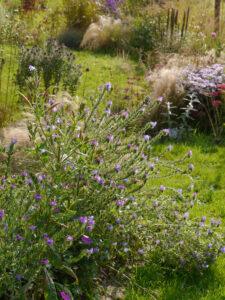 Im Poetischen Garten von LATÜT