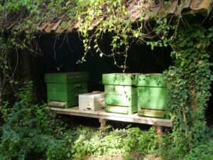 Bienenkörbe auf Kasteel Hex