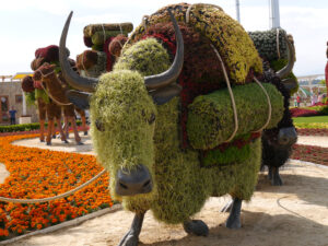 Beeindruckend war diese überdimensionale Karawane auf der Expo 2016