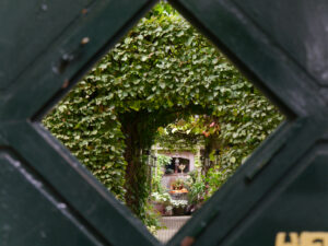 Blick durch das kleine Sicht-Quadrat in der Tür zum Schaugarten Picker