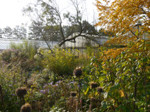 Im alten Hausgarten der Gärtnerei van Diemen