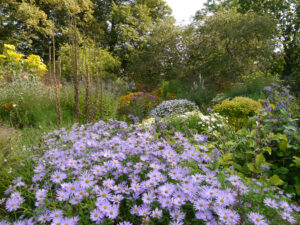 Im Lindengarten, dem naturnahen Schaugarten der Gärtnerei van Diemen 