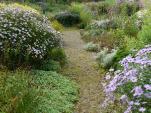 Im Lindengarten, dem naturnahen Schaugarten der Gärtnerei van Diemen 