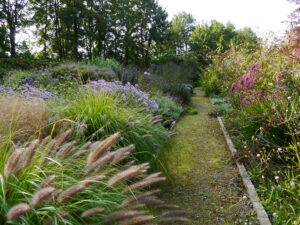 Im Lindengarten, dem naturnahen Schaugarten der Gärtnerei van Diemen 