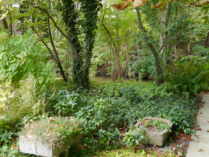 Schattengarten im Garten Els de Boer
