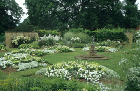 Der weiße Garten von Barrington Court