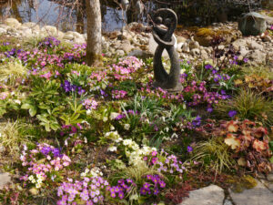 Frühlingsbeet in Wurzerls Garten Anfang März 
