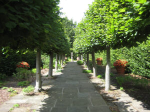 Der Lindengang, ein ausgesprochener Frühlingsgarten in Sissinghurst