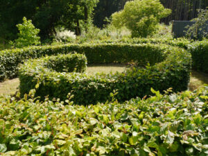 Die Heckenspirale im Hyazinth-Garten