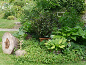 Eine ruhige Schattenpflanzung beim Hühnerhäuschen im Engelgarten