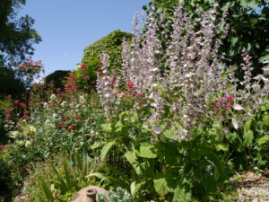 Obere Gartengrenze des Engelgartens Rau