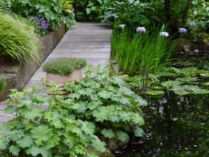 Teich im Hostagarten Blohm 