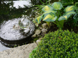 Teich im Hostagarten Blohm
