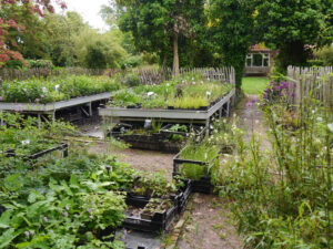 In der Gärtnerei "Aan de Dijk", Groninger Land