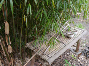 Bambusszene im Sammlergarten Diekmann