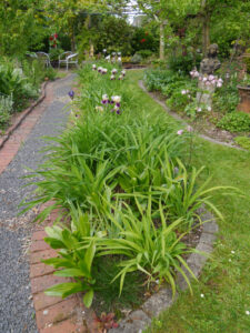 Das Taglilien- und Irisbeet im Sammlergarten Diekmann