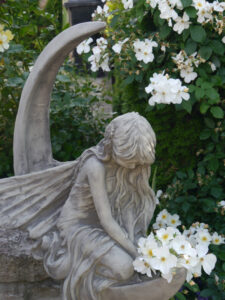 Rosa 'Kew Gardens', Fee Mondtraum, frostfester Steinguss Antik, GALAROSA 