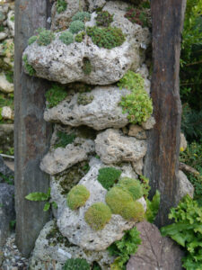 Vertikale Pflanzungen auf Tuffstein in der Gärtnerei Eidmann