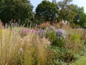 Herbstgarten Pristin