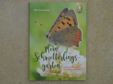 Buch-Cover "Mein Schmetterlings-Garten", Autor Elke Schwarzer, Ulmer Verlag