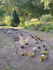 Planung für ein neues Sandbeet im vertrockneten Rasen von tuin de bosuil, dieses Foto ist mir von Willemien Graven geschickt worden