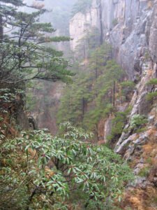 Im Huangshan Gebirge unterwegs.