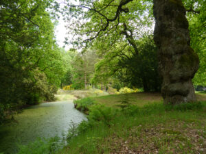 Im Schlosspark Lütetsburg