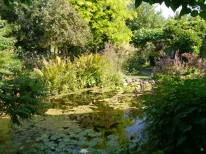 Der Teich mit Blick auf den hintersten Gartenteil von Ada.
