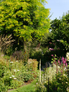 Peripherie des mittleren Gartenteils von Adas Garten