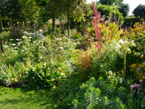 Mixed Border im rechten Gartenteil von Ada
