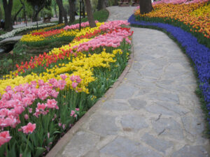 Das Tulpenfestival im April im Emirgan Stadtpark von Istanbul.