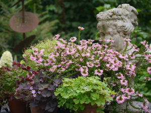 Eingangsbereich in den Garten Anneliese Kisfeld
