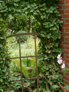 Es gibt immer wieder Mauer- oder Heckenvistas im Garten Anneliese Kisfeld