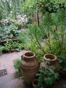 Zugang zur Terrasse vom Garten aus, im Garten Hildegard Rave