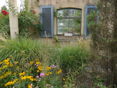 Garten-Glück und Galloways bei Beate Höing