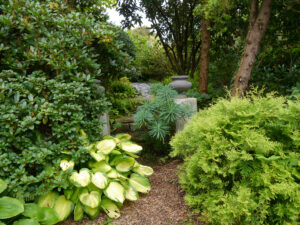 Im Schattengarten, Garten Ulbrich