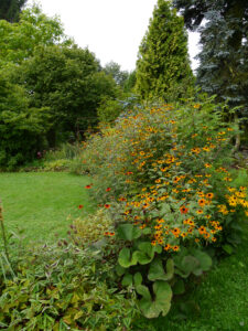 Im Cottage Garden des Schaugartens Ulbrich