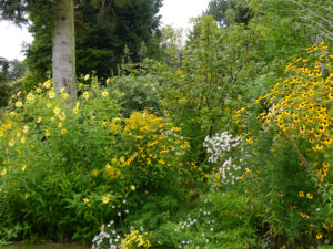 Der Cottage  Garden im Schaugarten Ulbrich