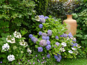 Der Cottage  Garden im Schaugarten Ulbrich