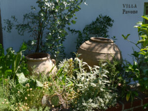 Villa Pavone im Garten Ulbrich