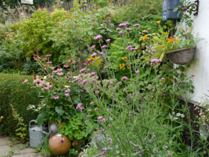 Im oberen Garten von Barbara Kramer