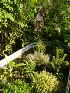 Unterwegs im Garten Brigitte Bergschneider, Paderborn